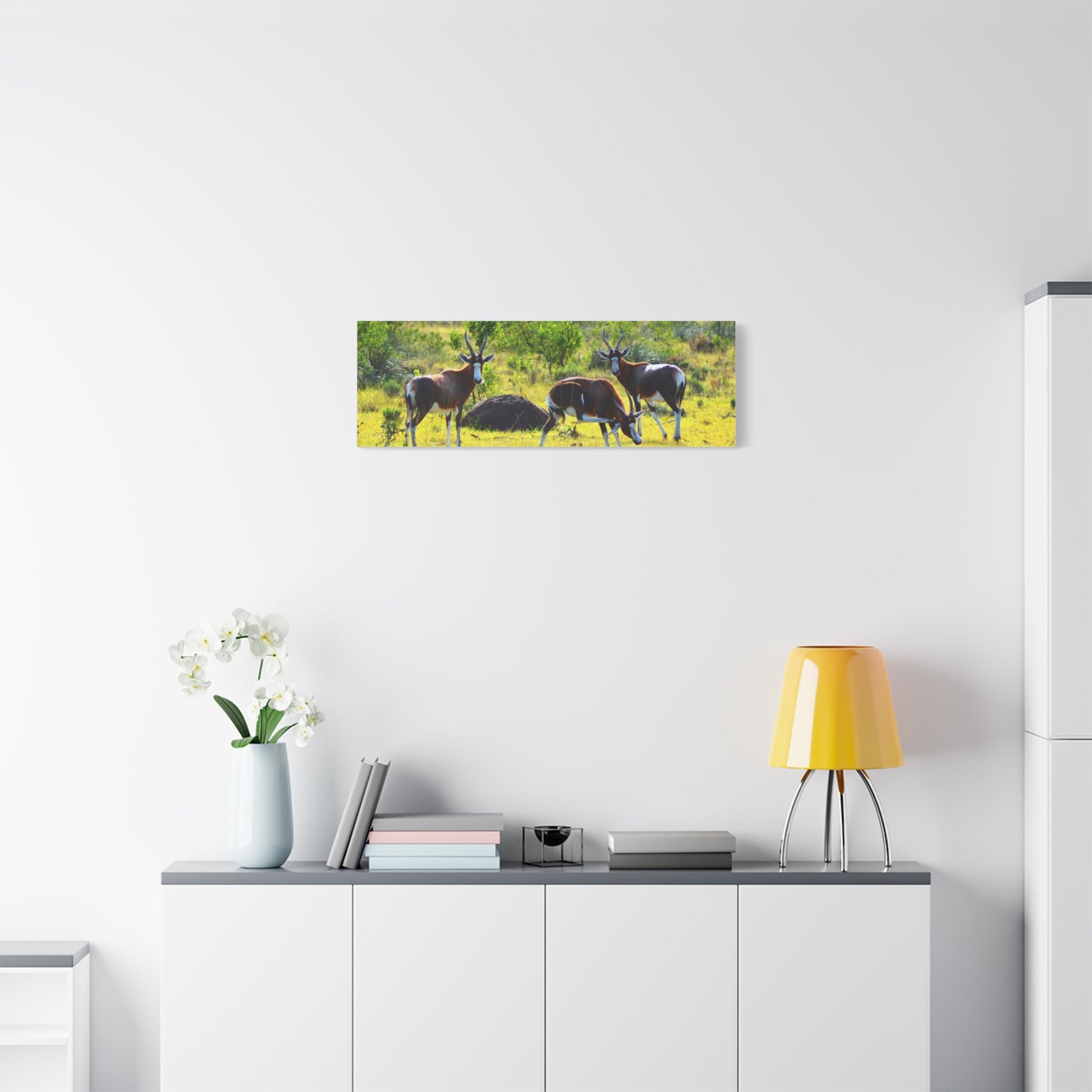 Blesbok in Africa - Canvas Print