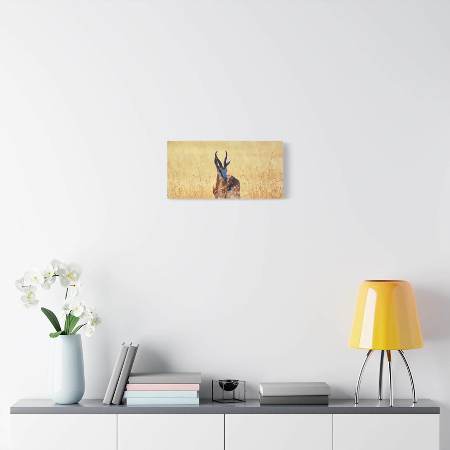 Africa Springbok