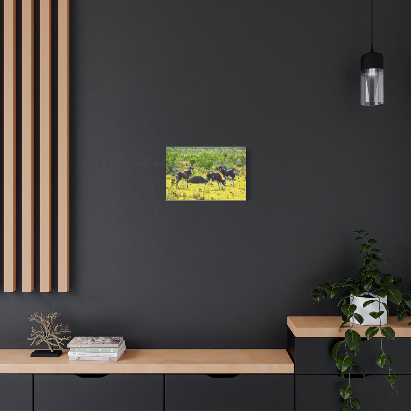 Blesbok in Africa - Canvas Print