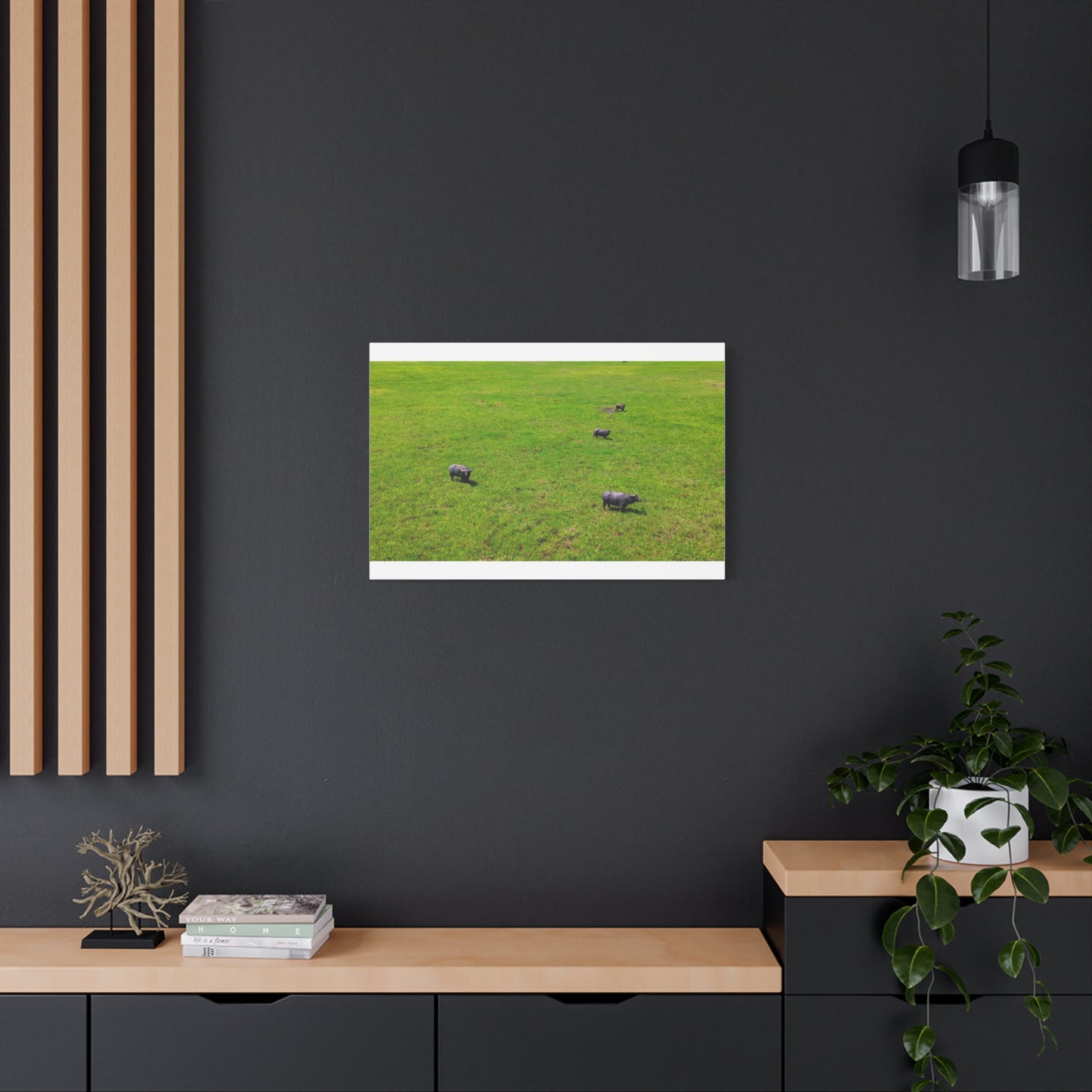 Asiatic Water Buffalo - Canvas Print