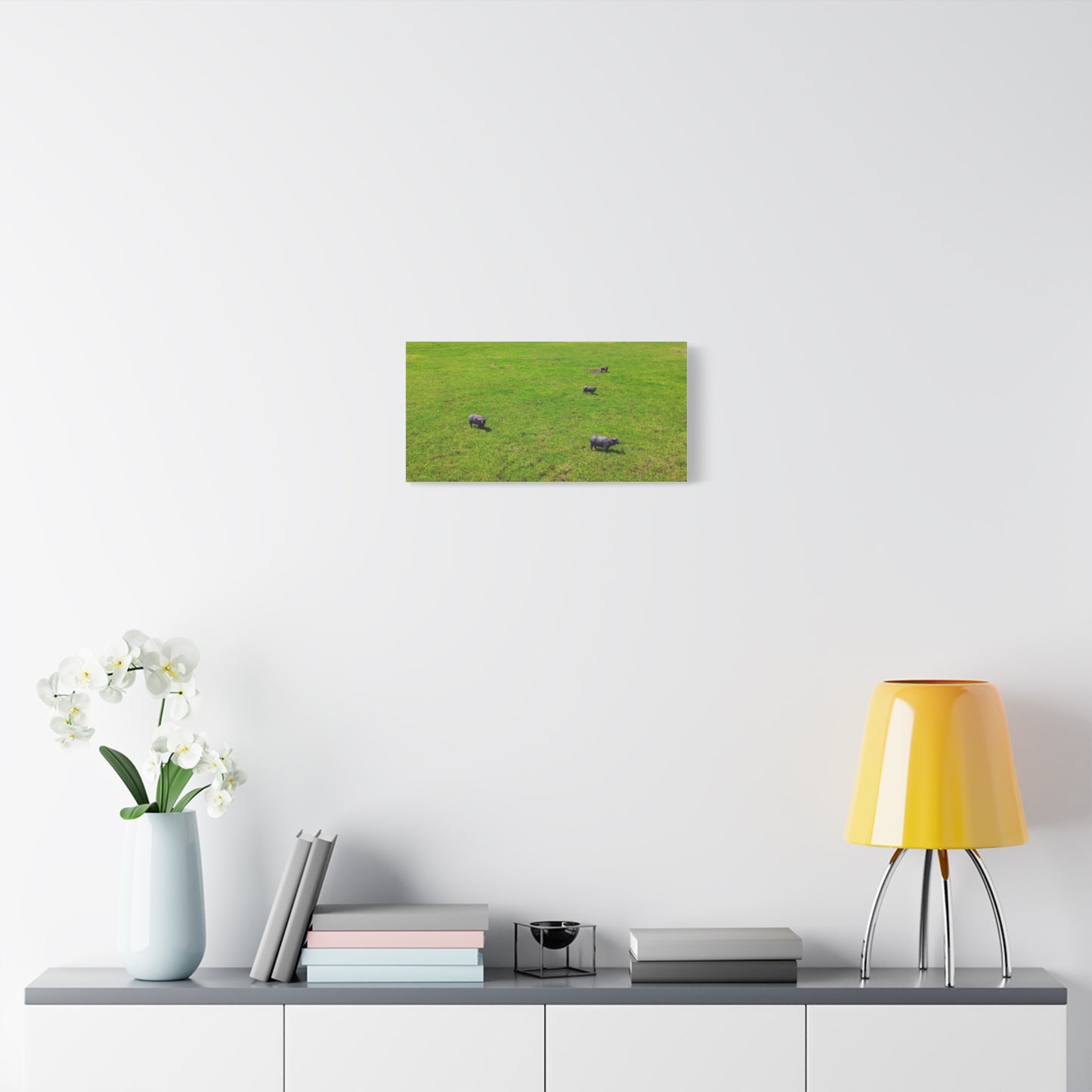 Asiatic Water Buffalo - Canvas Print
