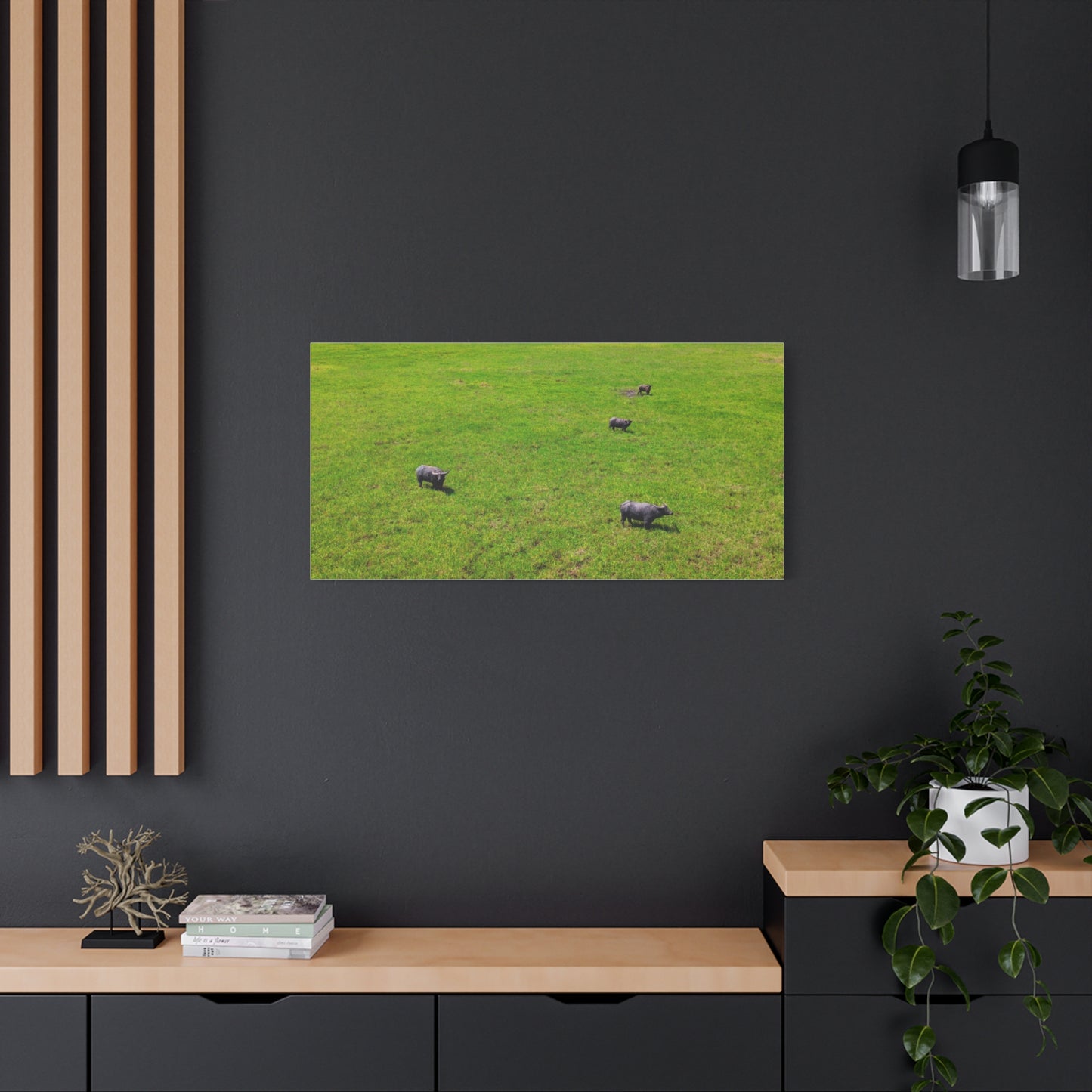 Asiatic Water Buffalo - Canvas Print
