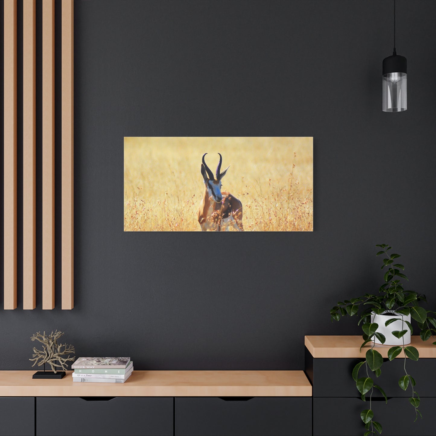 Africa Springbok