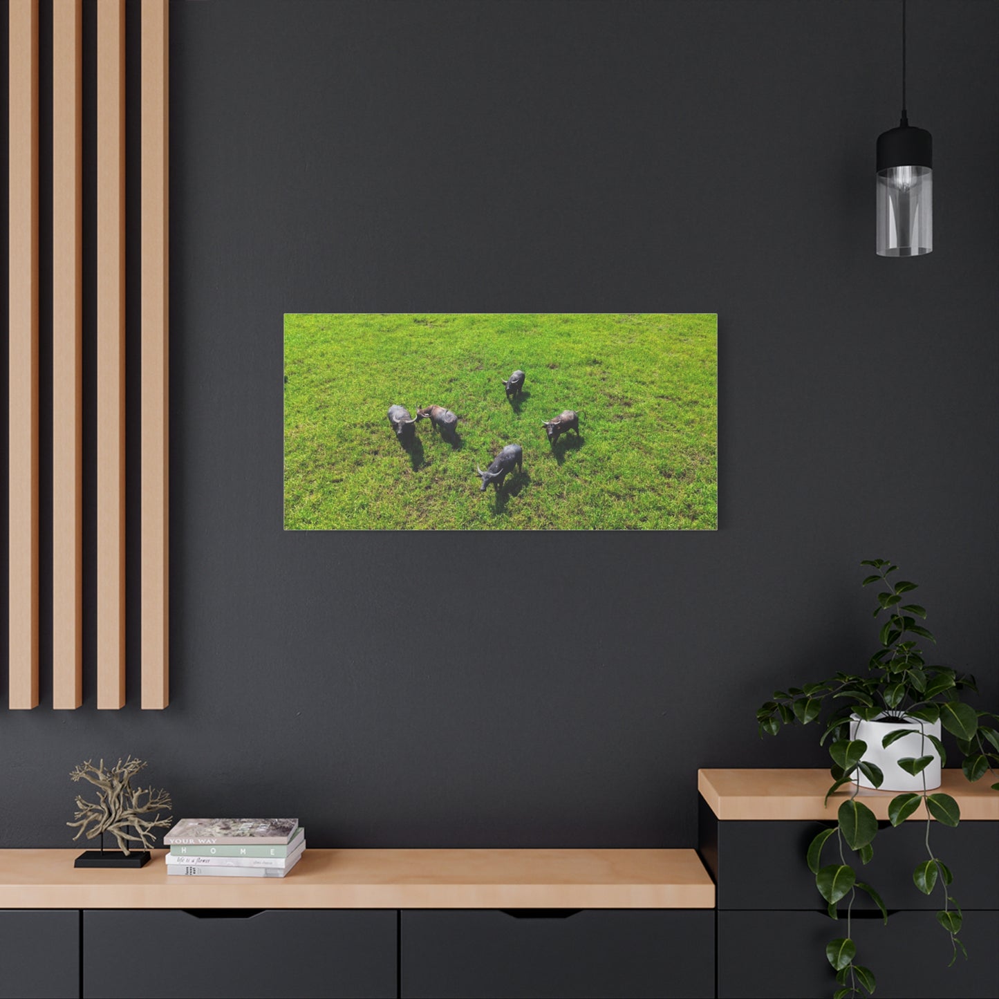 Australia Water Buffalo - Canvas Print
