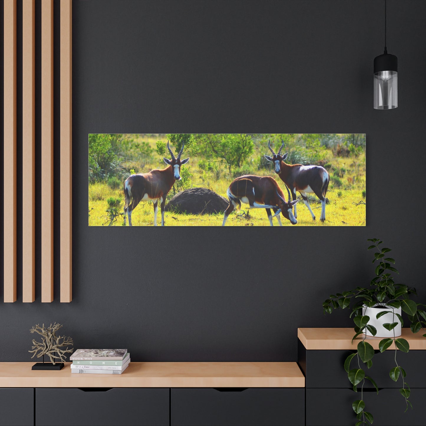 Blesbok in Africa - Canvas Print