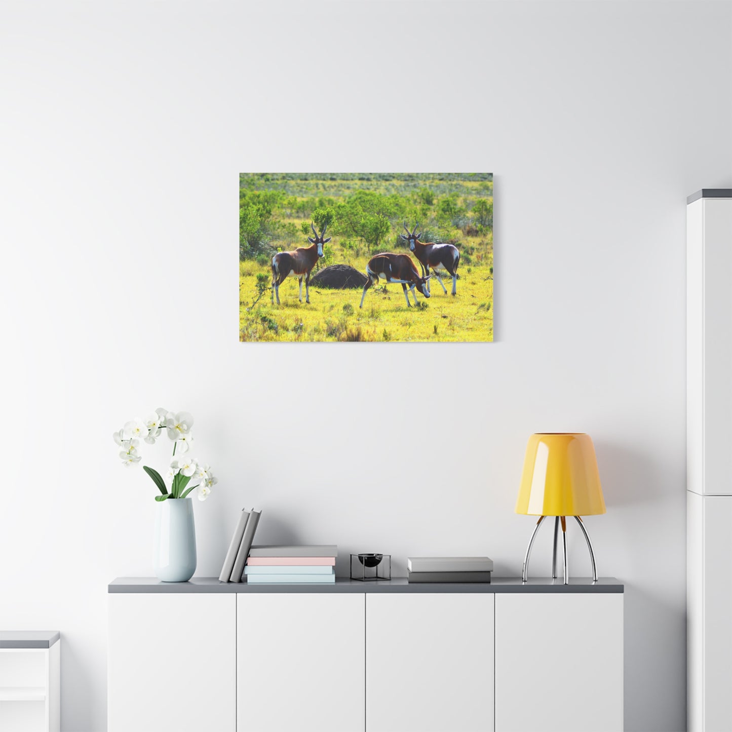Blesbok in Africa - Canvas Print