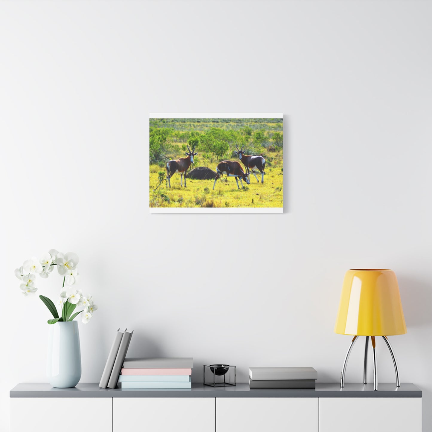 Blesbok in Africa - Canvas Print
