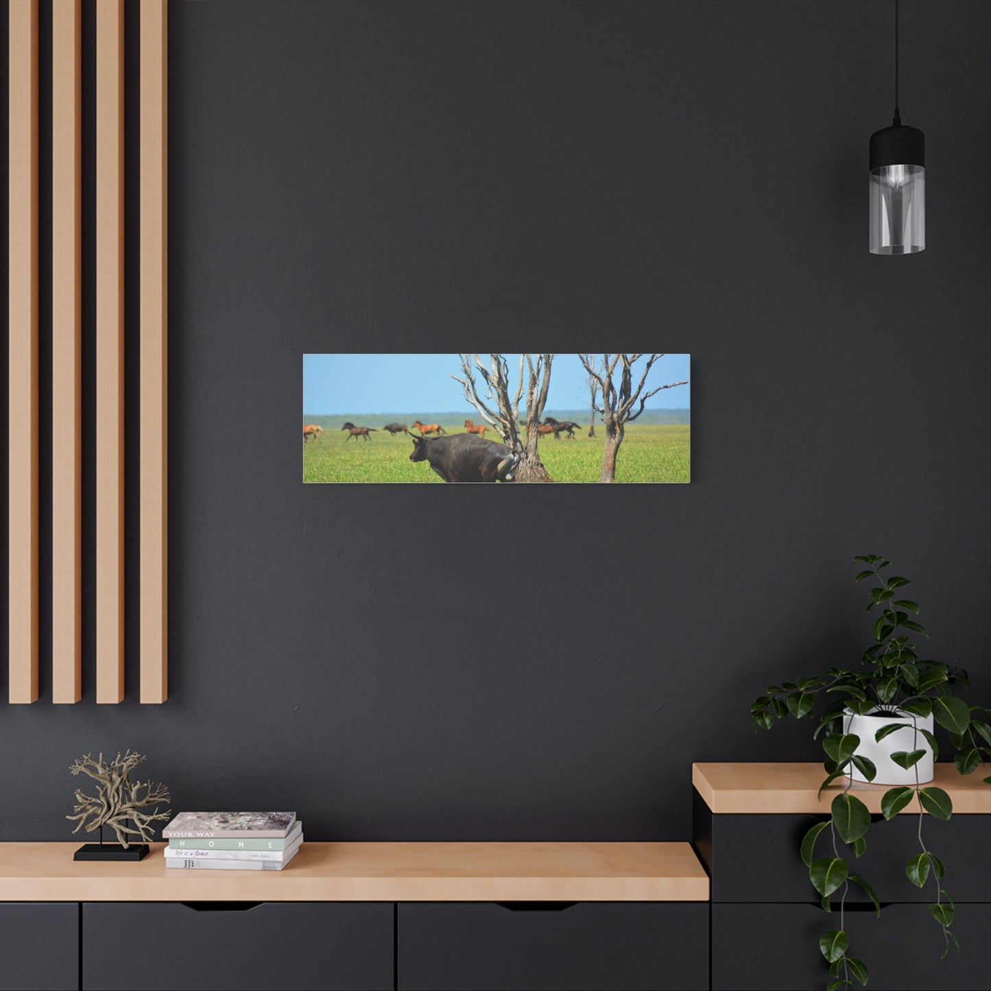 Australia Banteng - Canvas Print