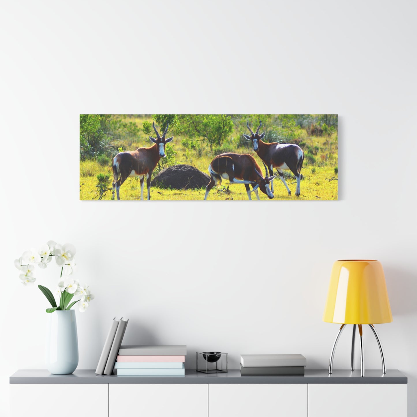 Blesbok in Africa - Canvas Print