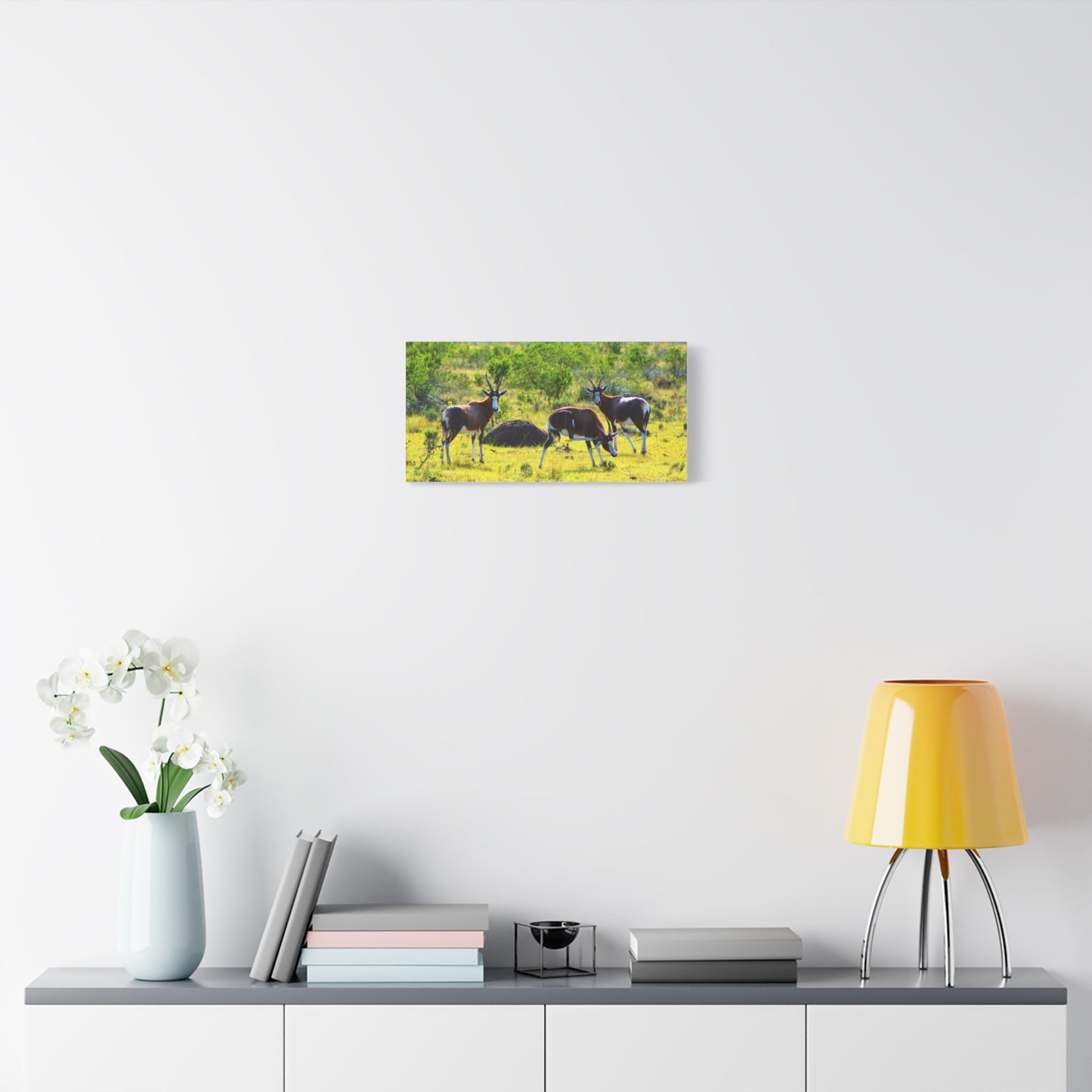 Blesbok in Africa - Canvas Print