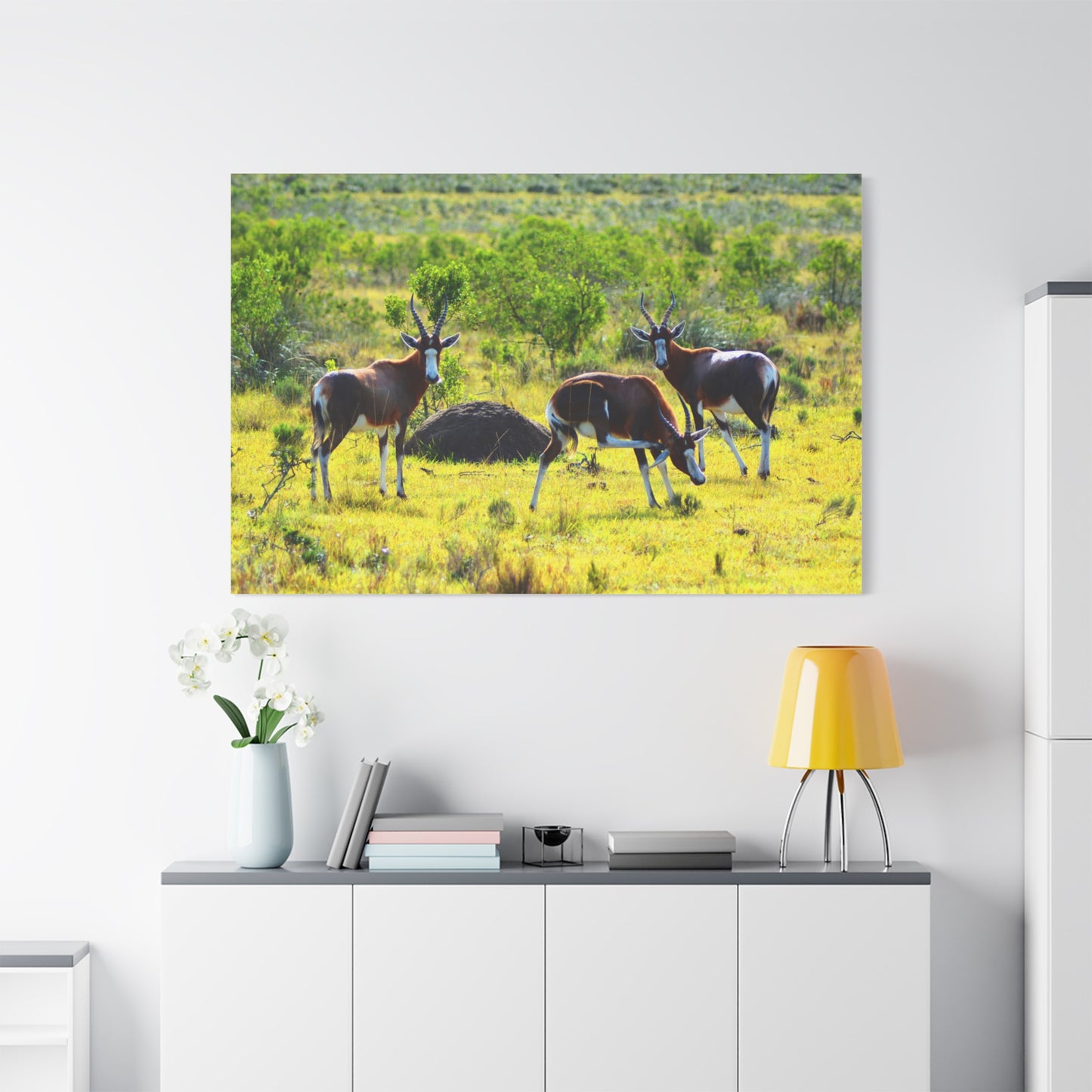 Blesbok in Africa - Canvas Print