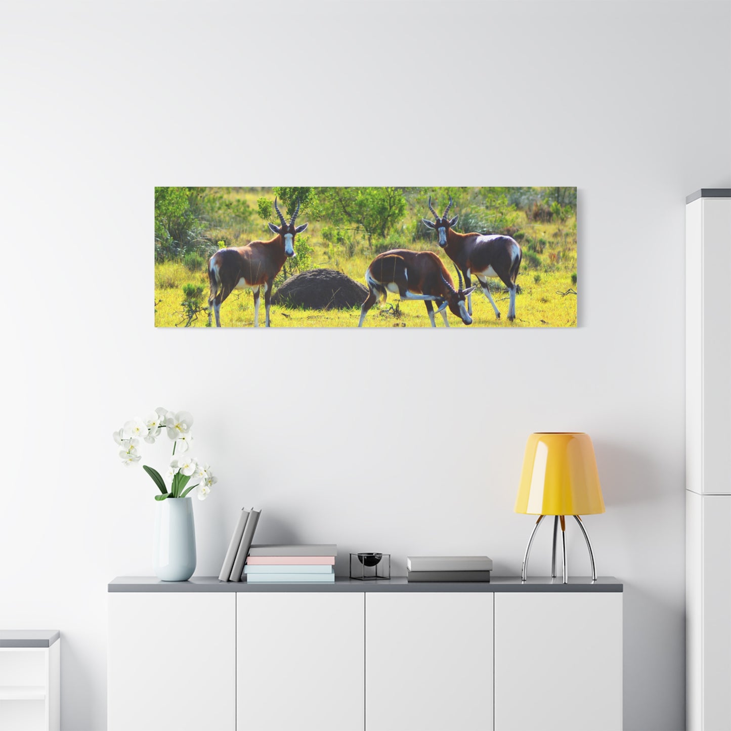 Blesbok in Africa - Canvas Print