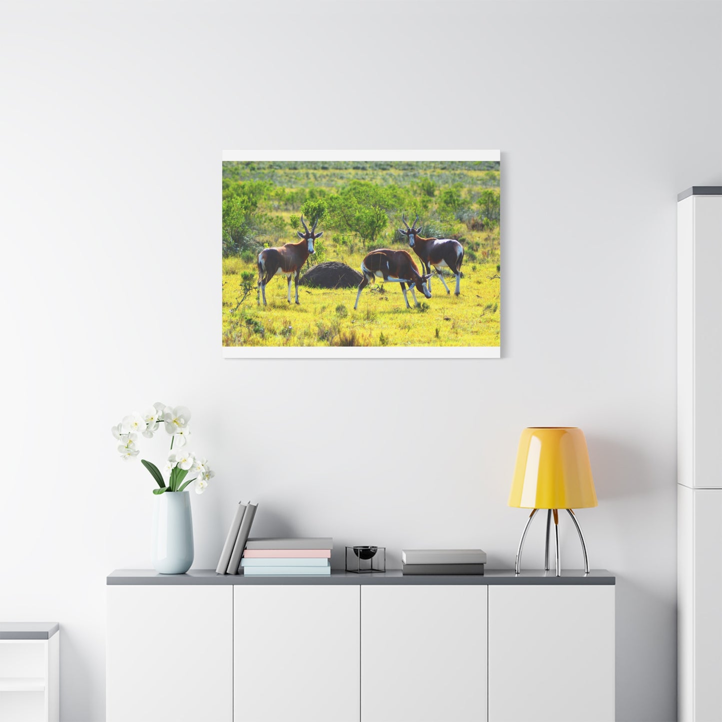 Blesbok in Africa - Canvas Print