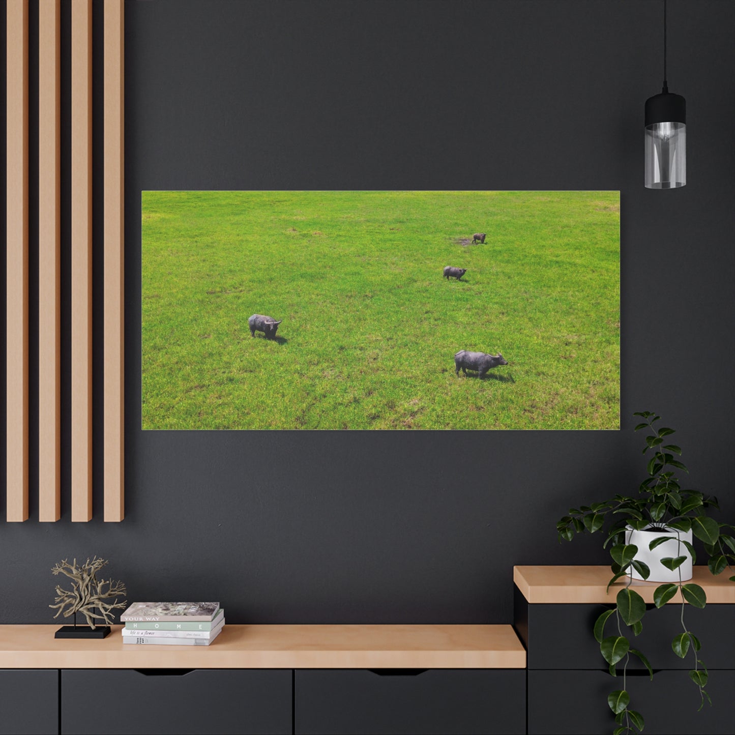 Asiatic Water Buffalo - Canvas Print