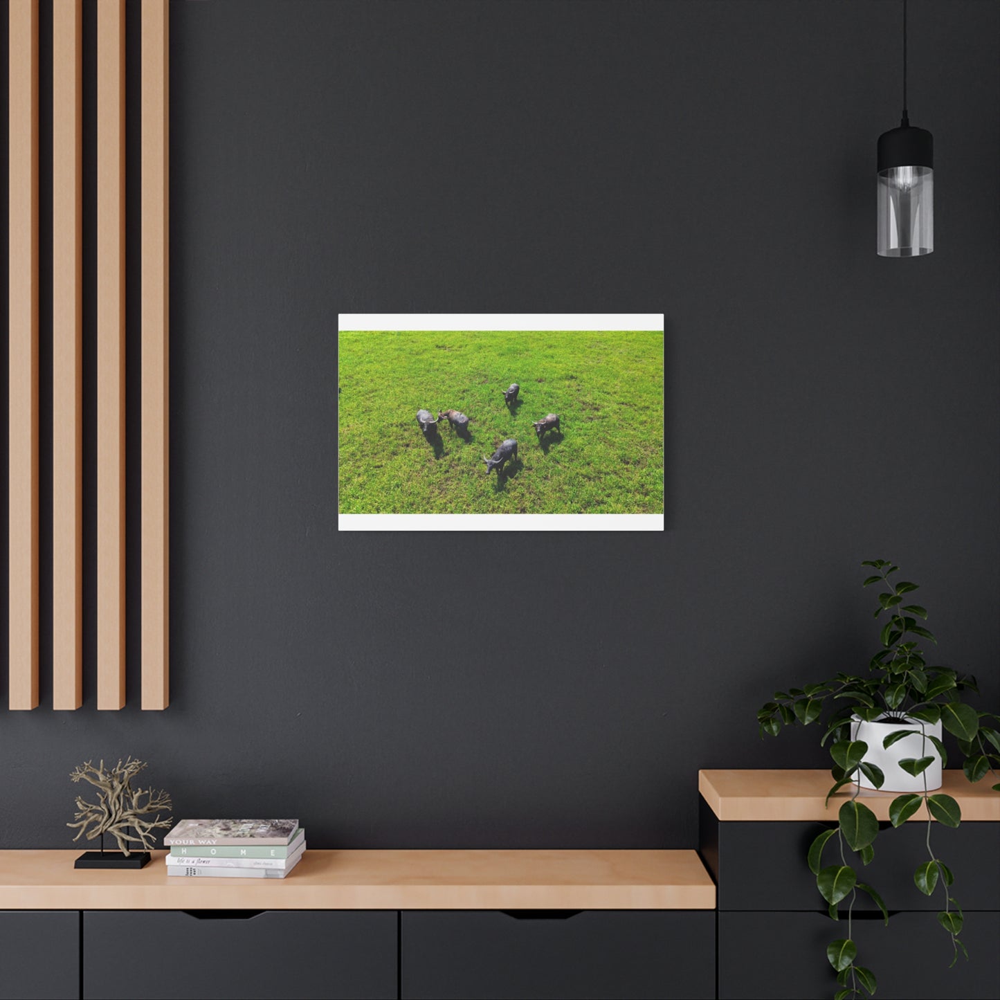 Australia Water Buffalo - Canvas Print