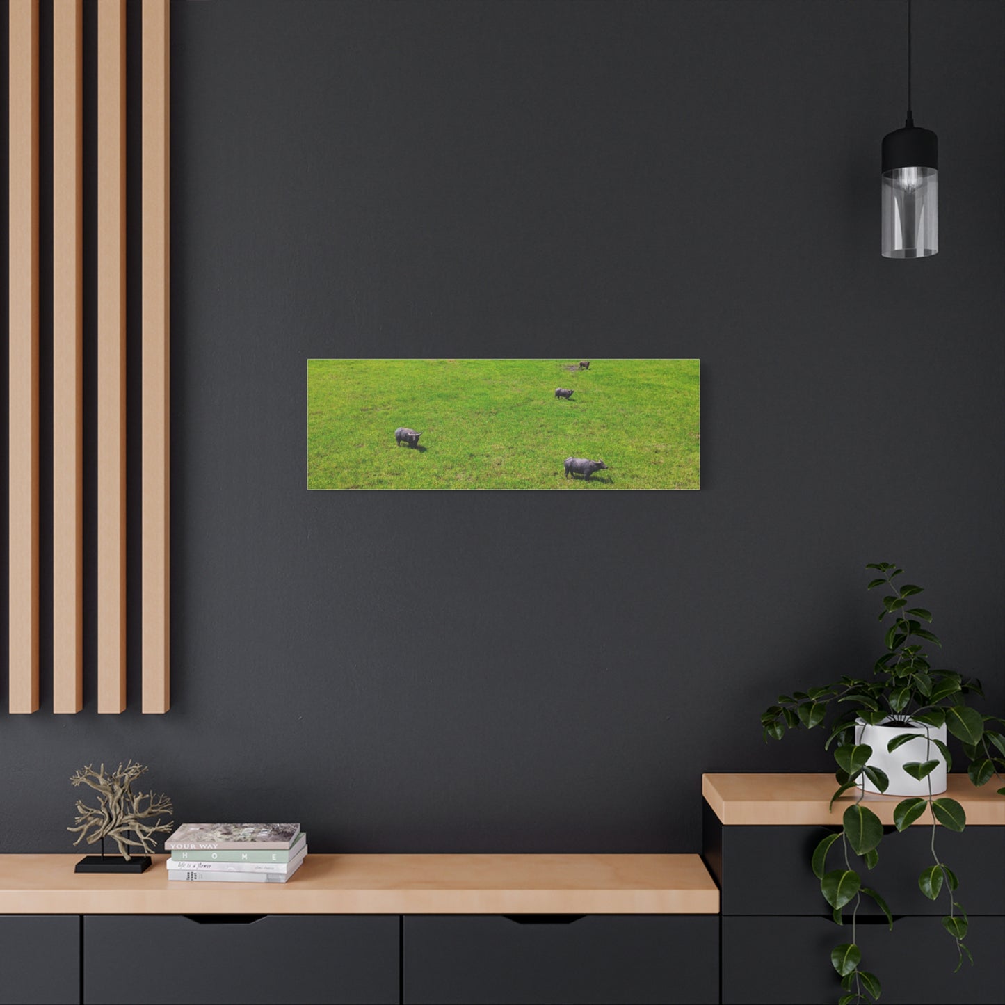 Asiatic Water Buffalo - Canvas Print