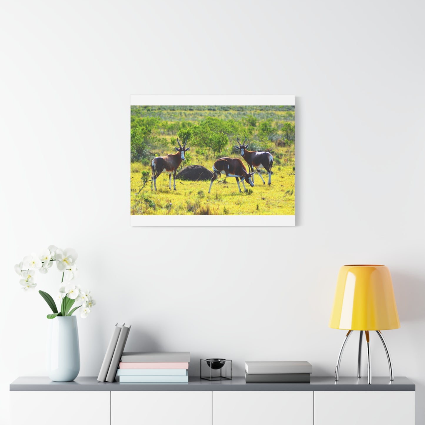 Blesbok in Africa - Canvas Print