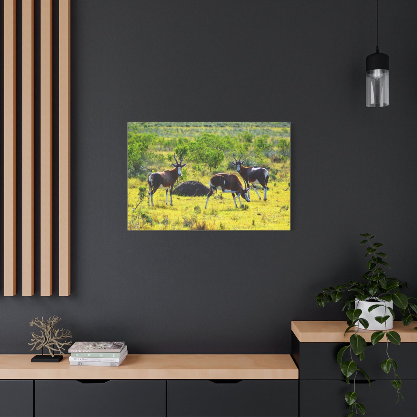 Blesbok in Africa - Canvas Print