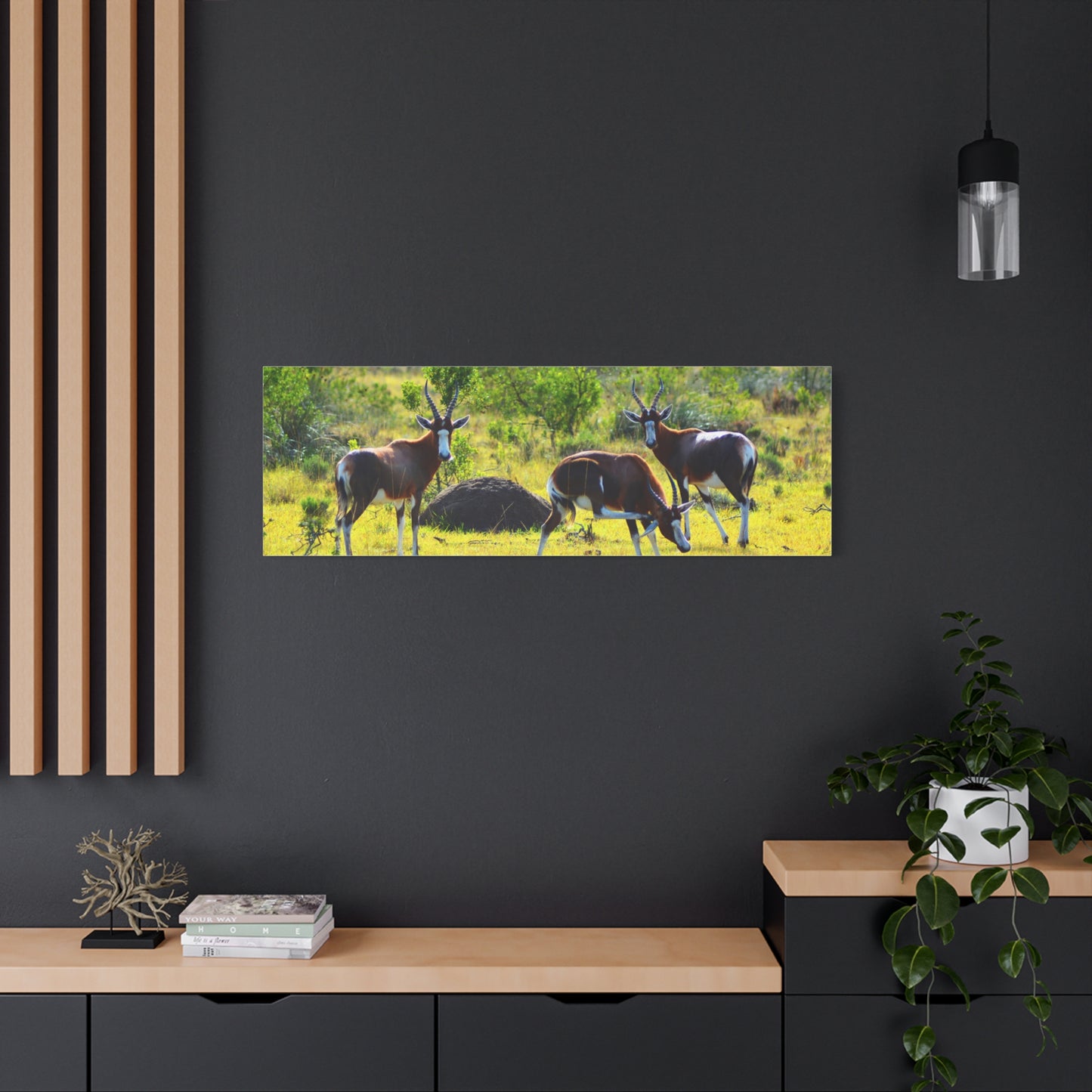 Blesbok in Africa - Canvas Print