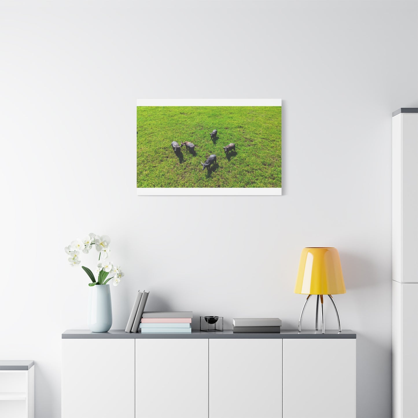 Australia Water Buffalo - Canvas Print