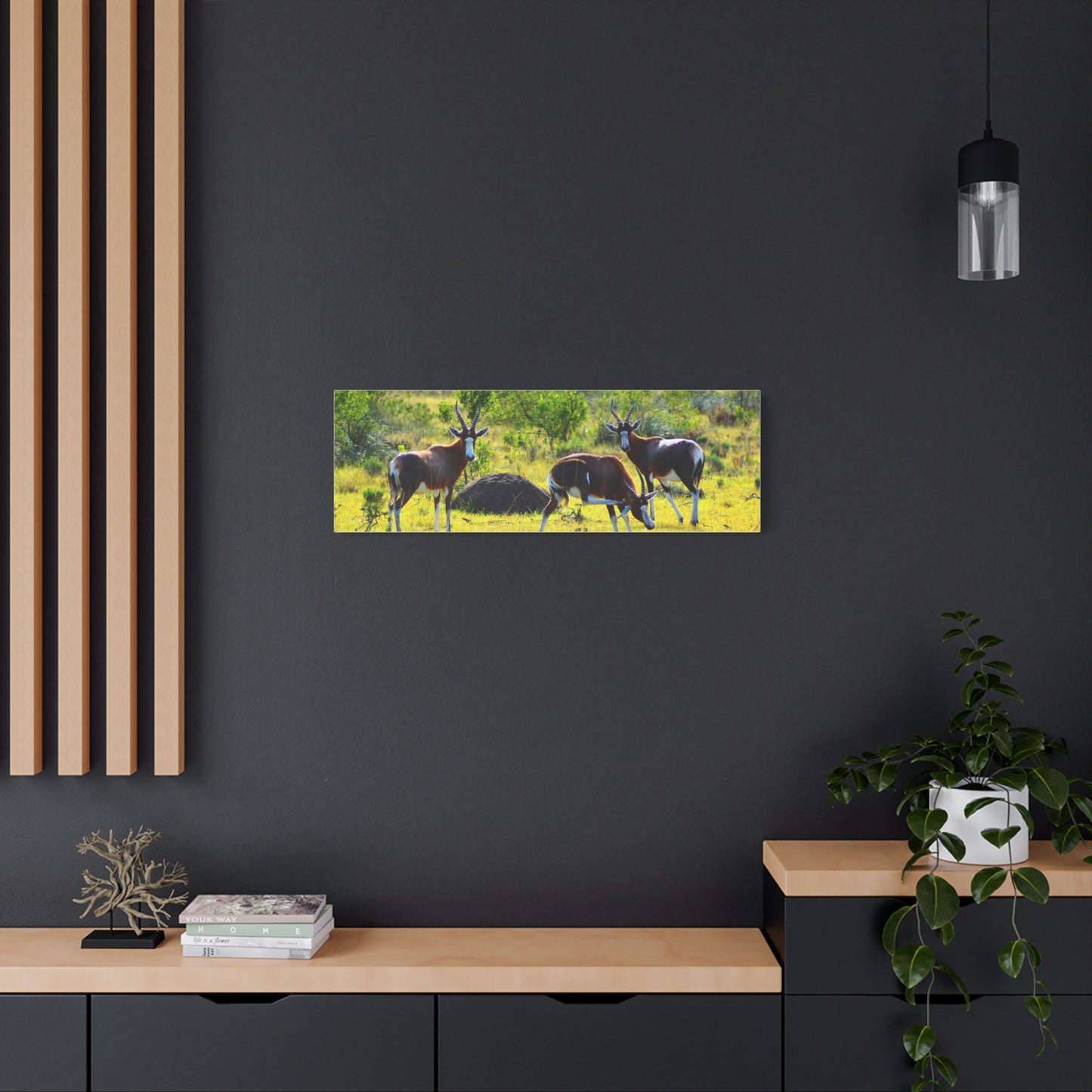 Blesbok in Africa - Canvas Print