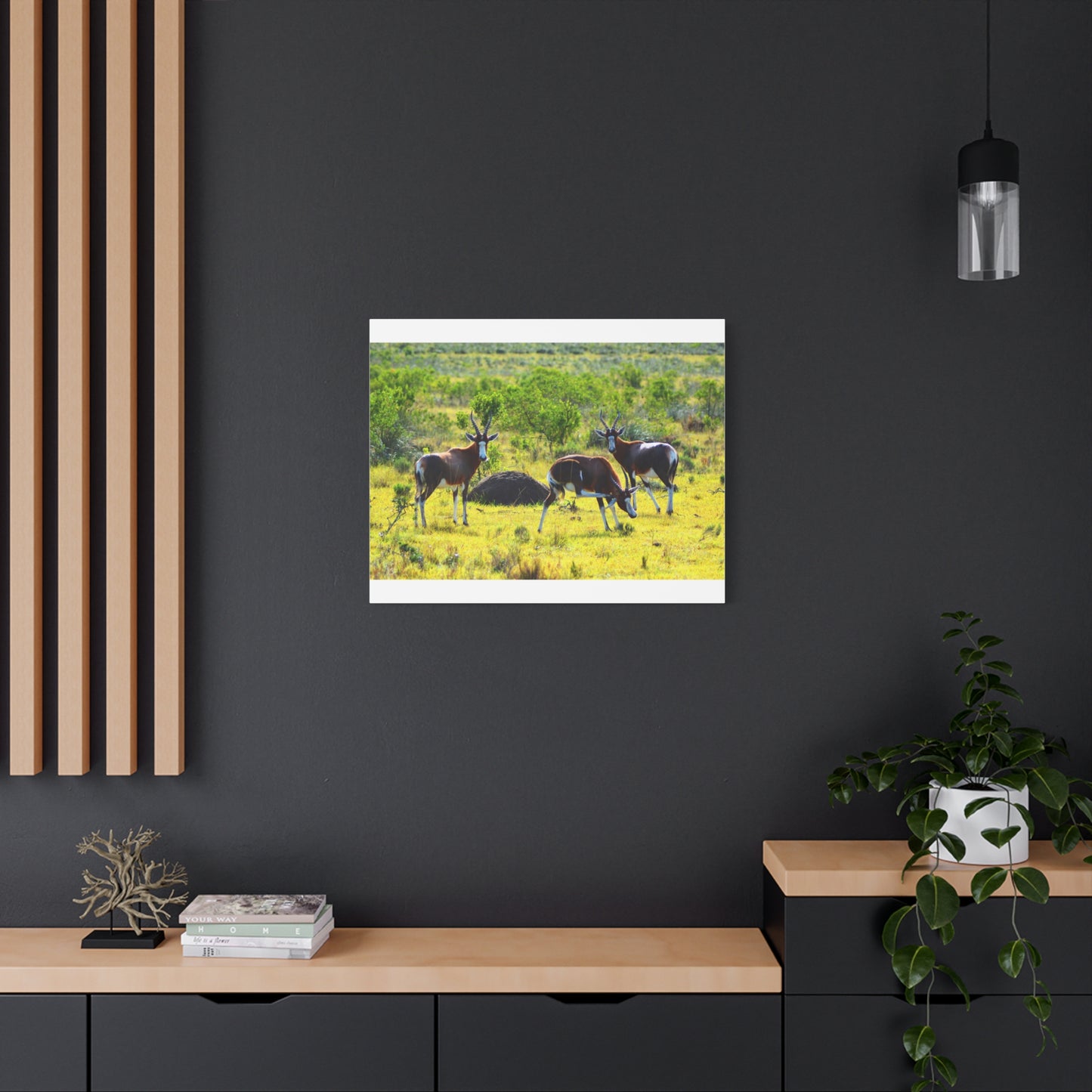 Blesbok in Africa - Canvas Print