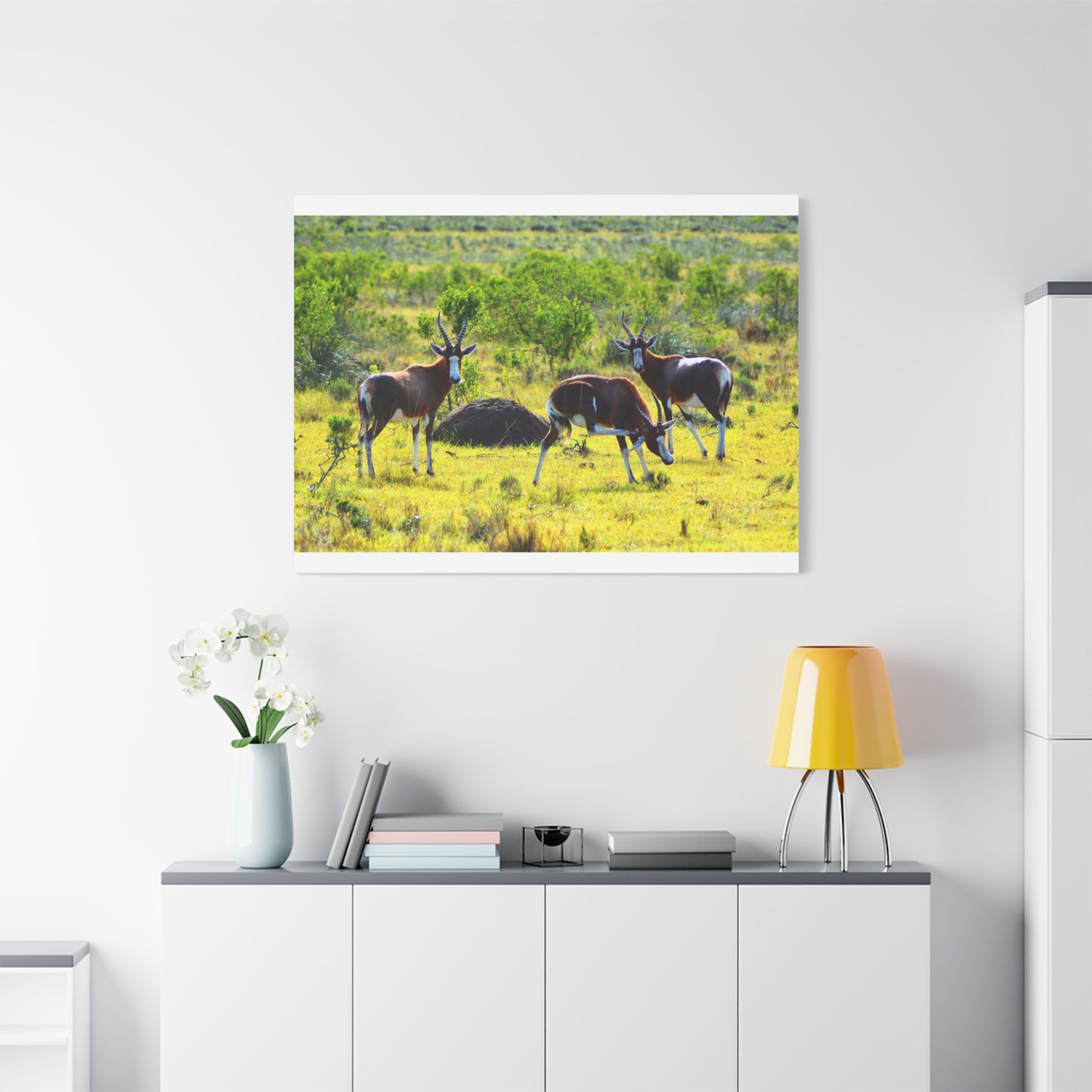 Blesbok in Africa - Canvas Print