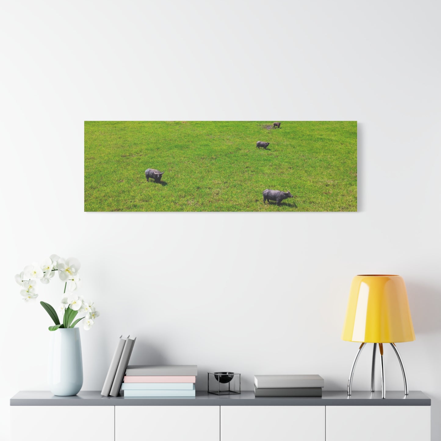 Asiatic Water Buffalo - Canvas Print