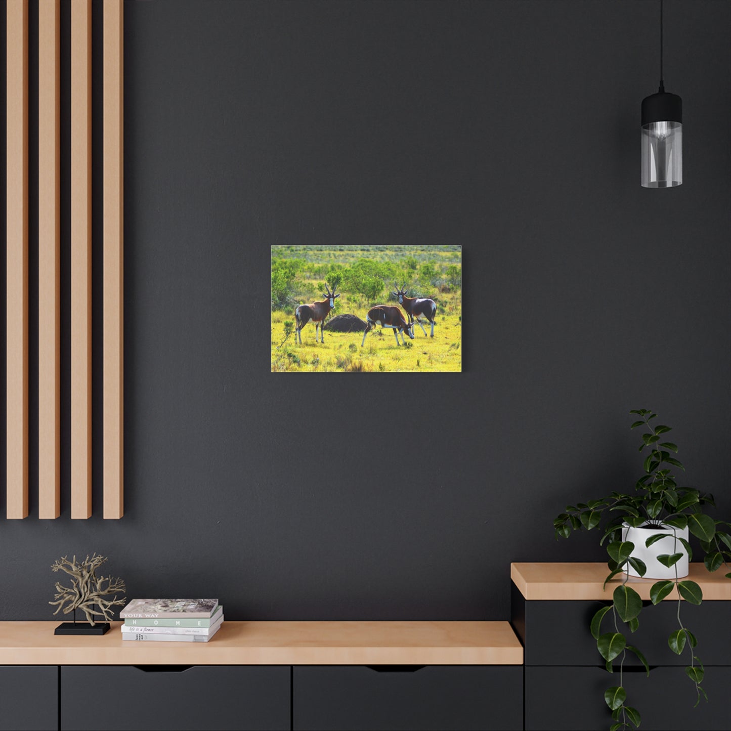Blesbok in Africa - Canvas Print
