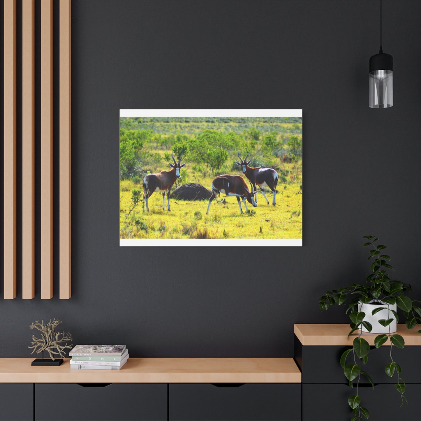 Blesbok in Africa - Canvas Print