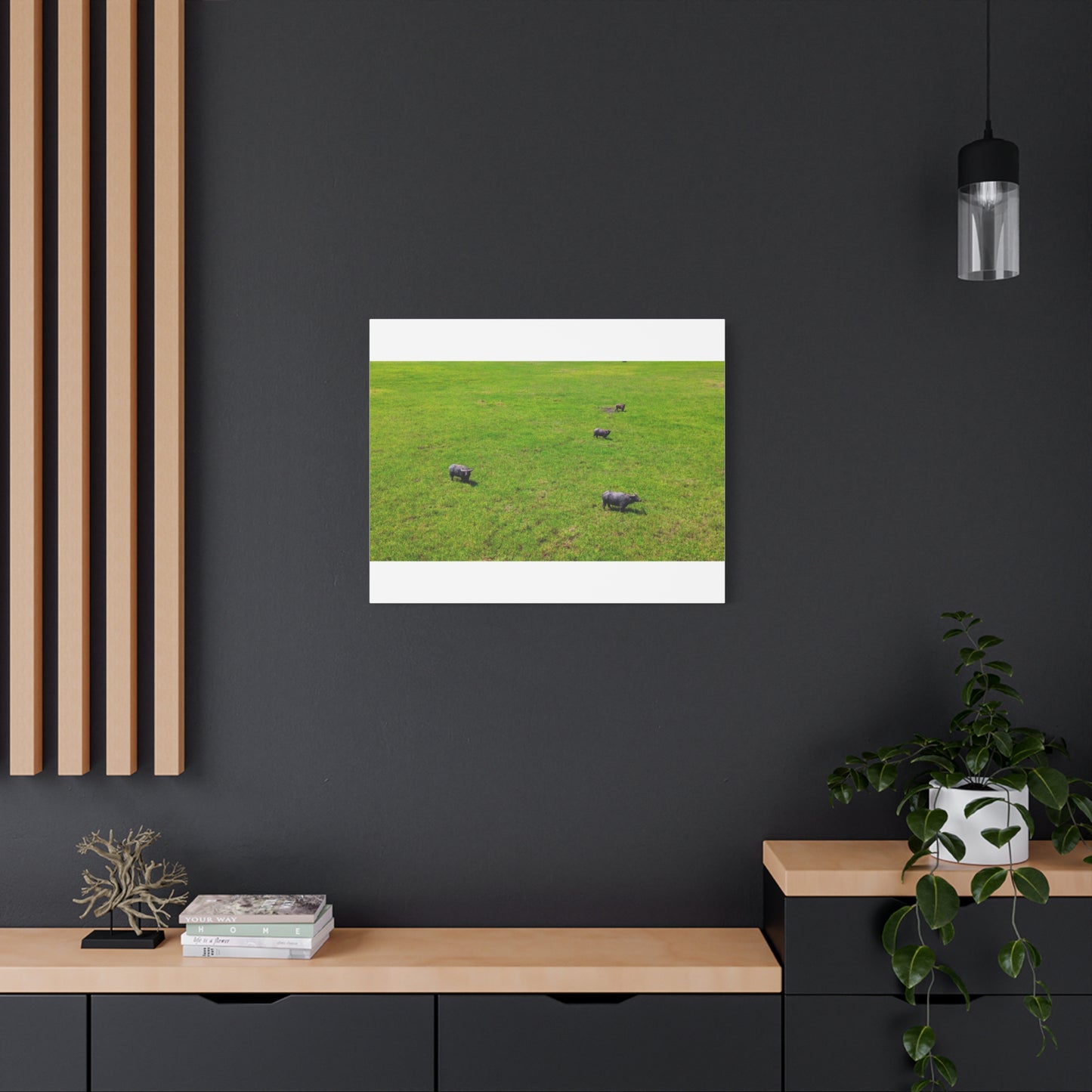 Asiatic Water Buffalo - Canvas Print