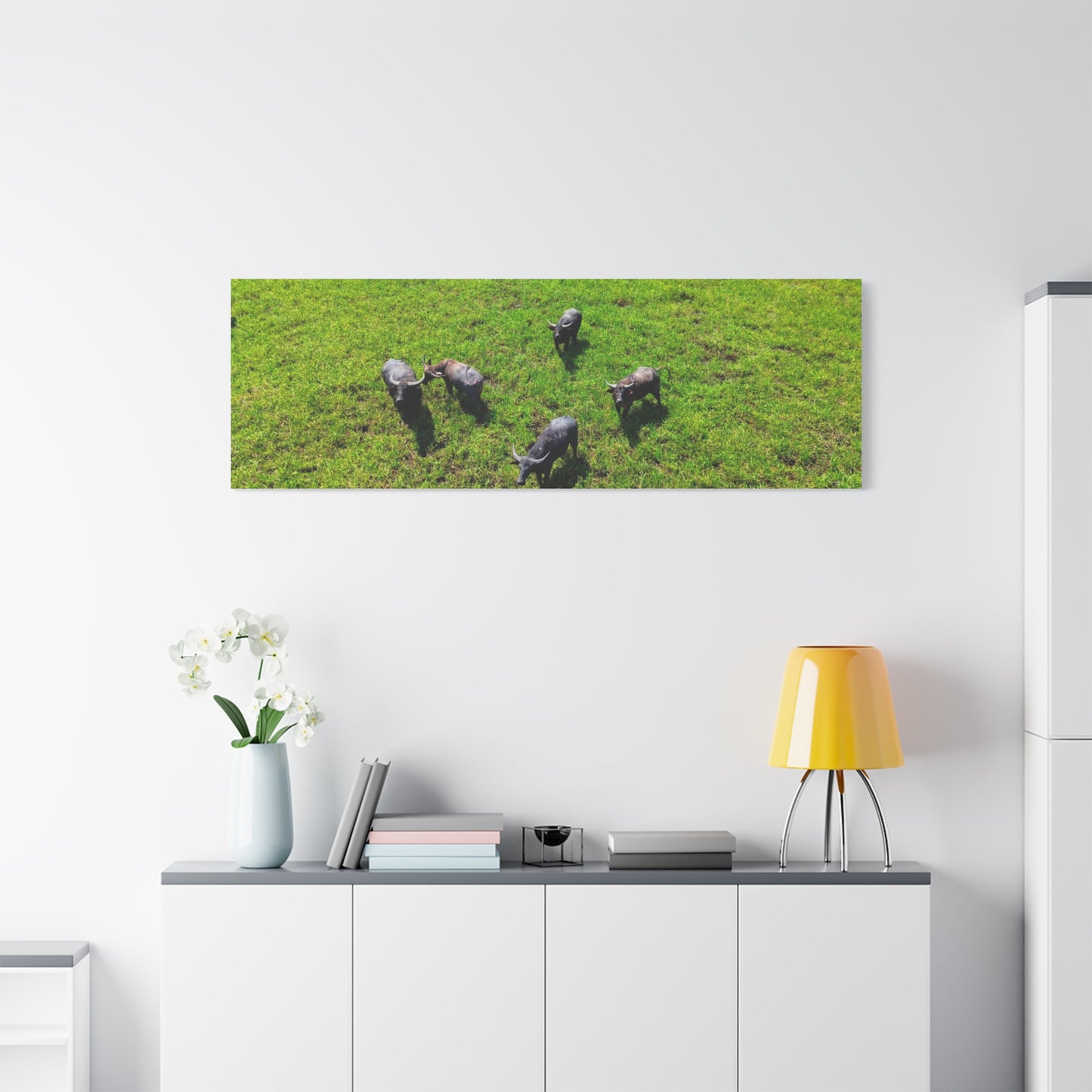 Australia Water Buffalo - Canvas Print