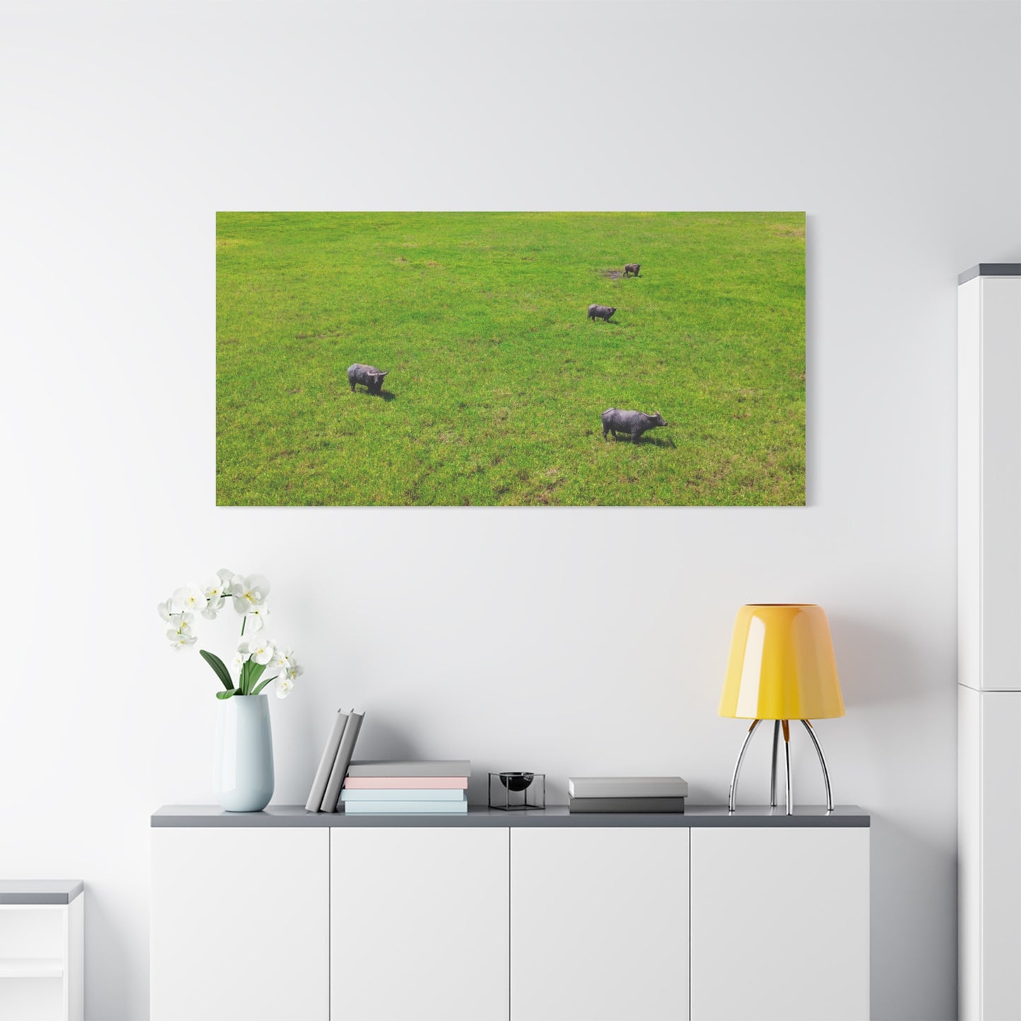 Asiatic Water Buffalo - Canvas Print