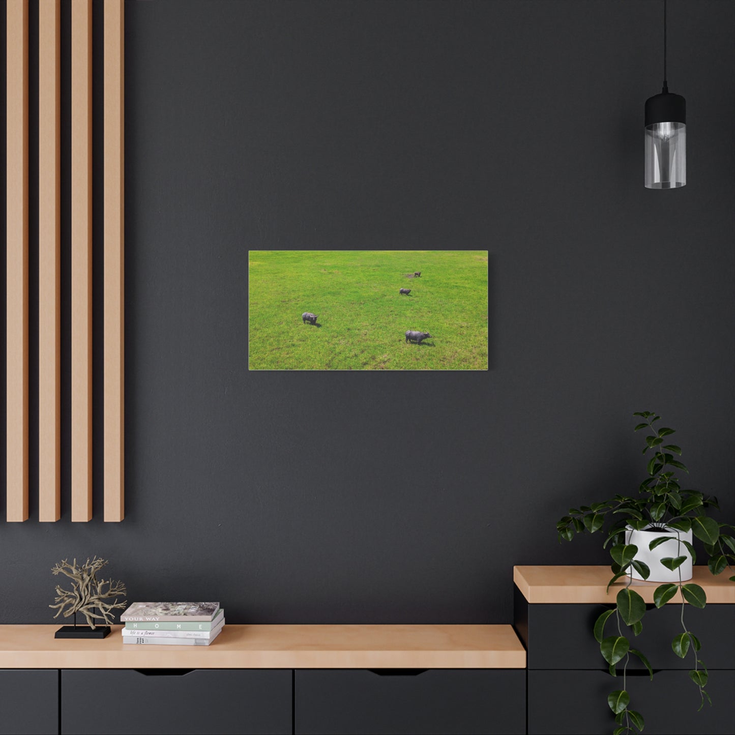 Asiatic Water Buffalo - Canvas Print