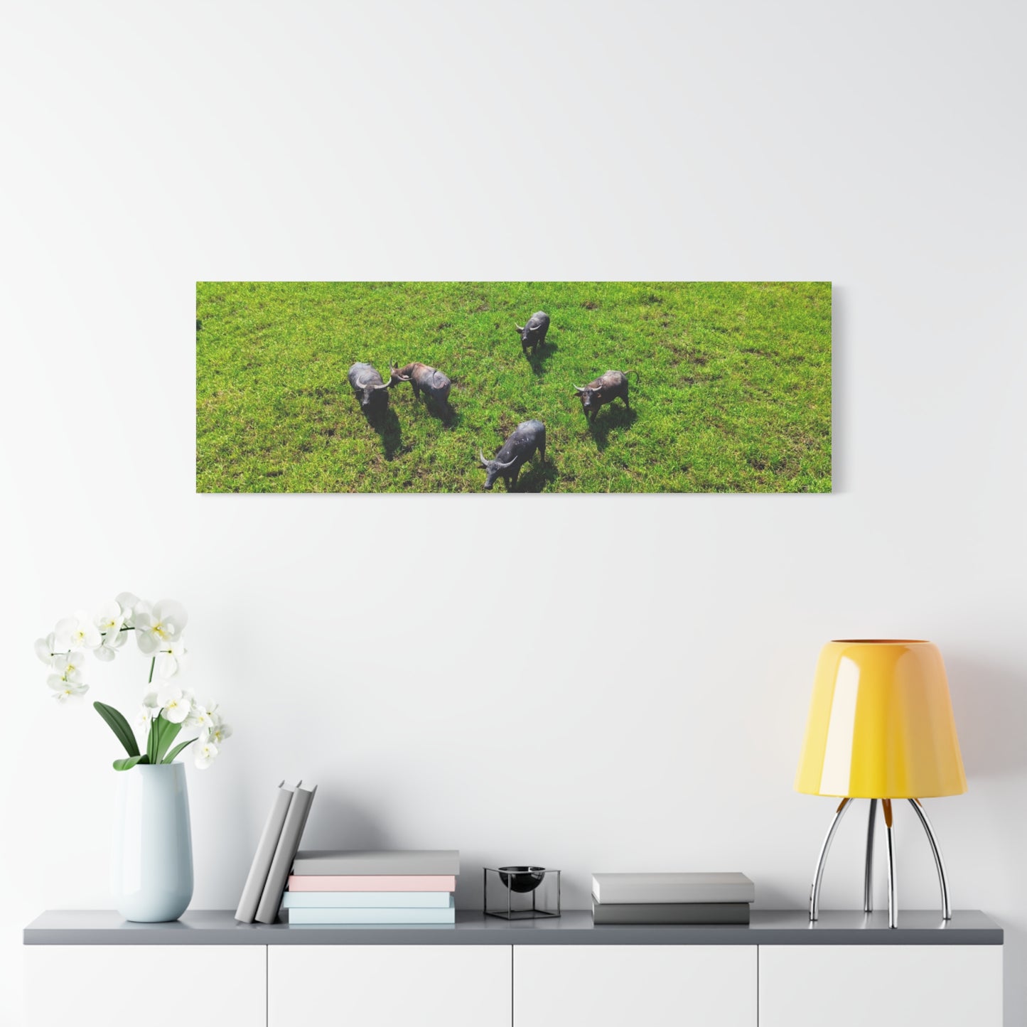 Australia Water Buffalo - Canvas Print