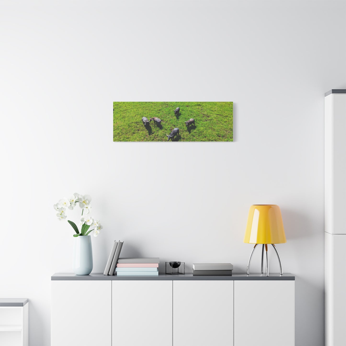Australia Water Buffalo - Canvas Print