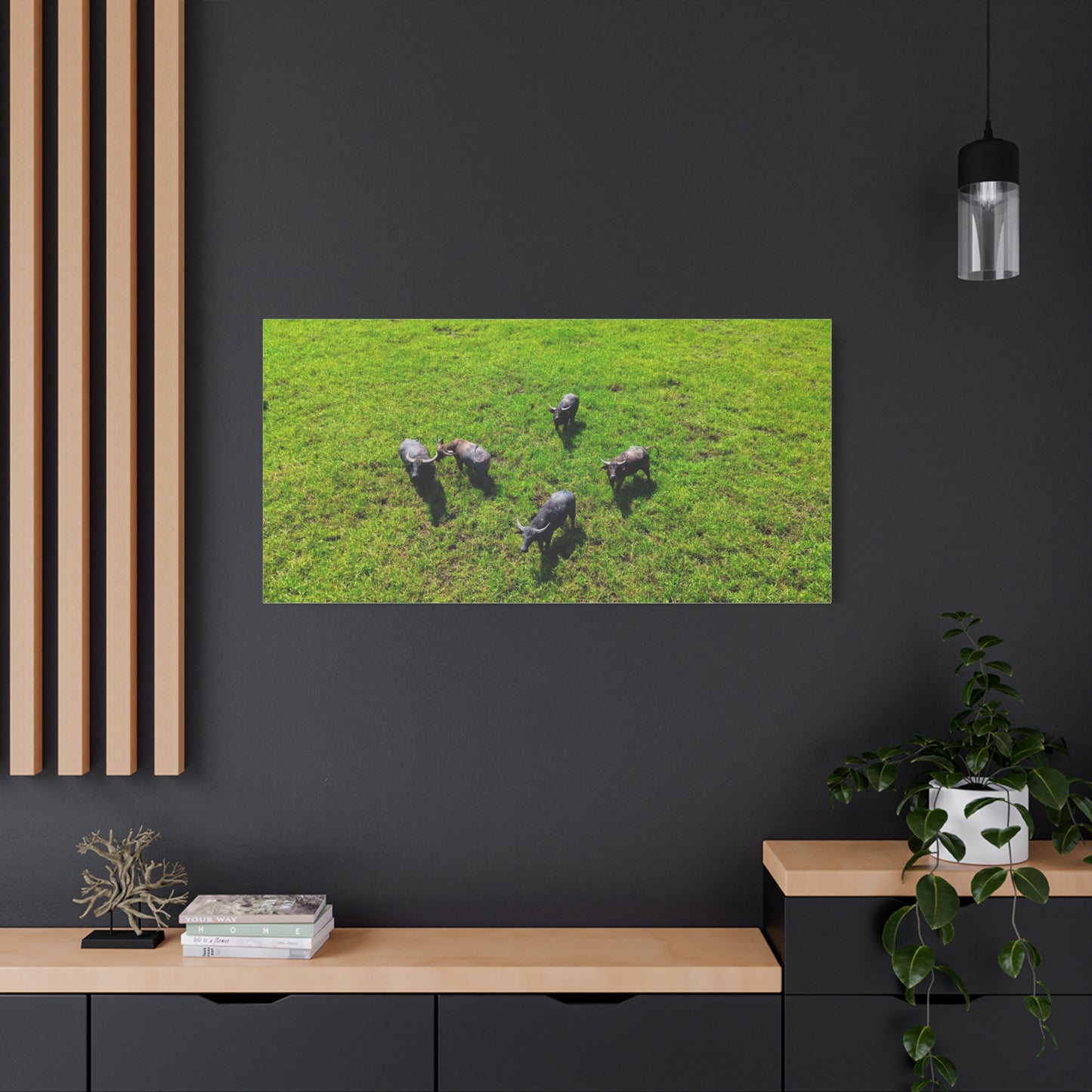 Australia Water Buffalo - Canvas Print