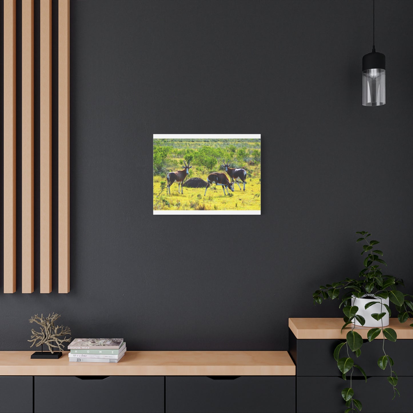 Blesbok in Africa - Canvas Print