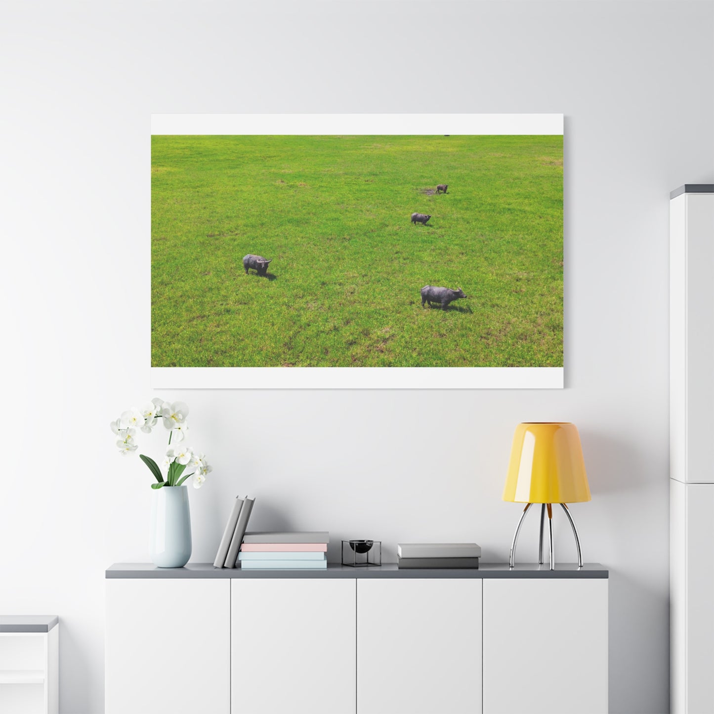 Asiatic Water Buffalo - Canvas Print
