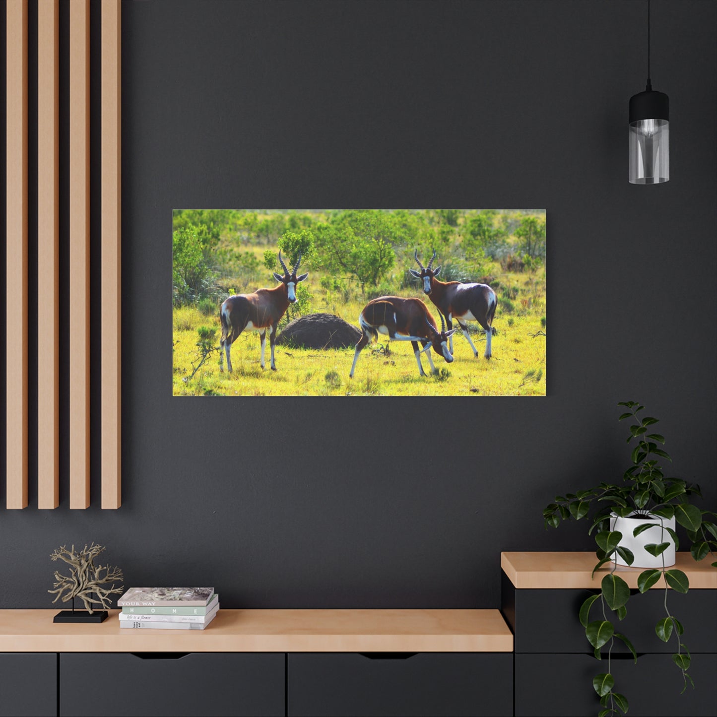 Blesbok in Africa - Canvas Print