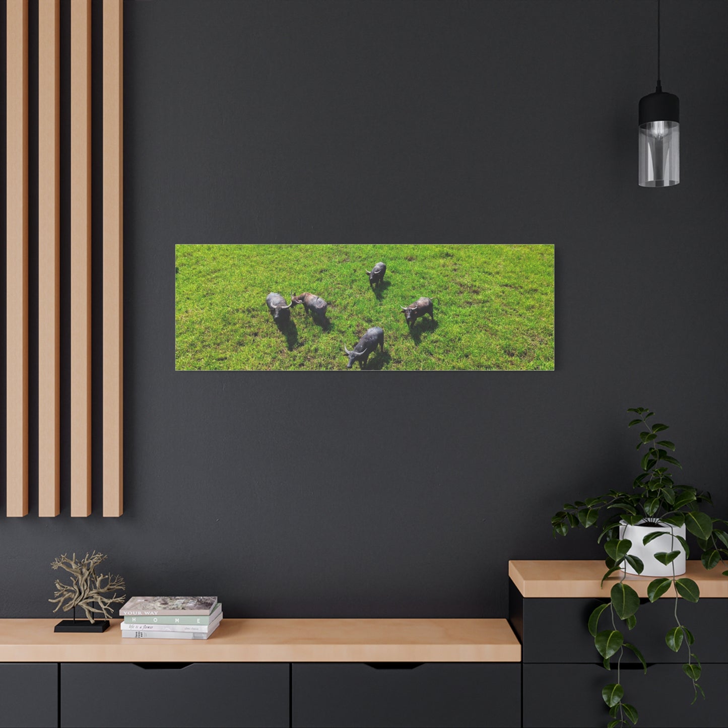 Australia Water Buffalo - Canvas Print