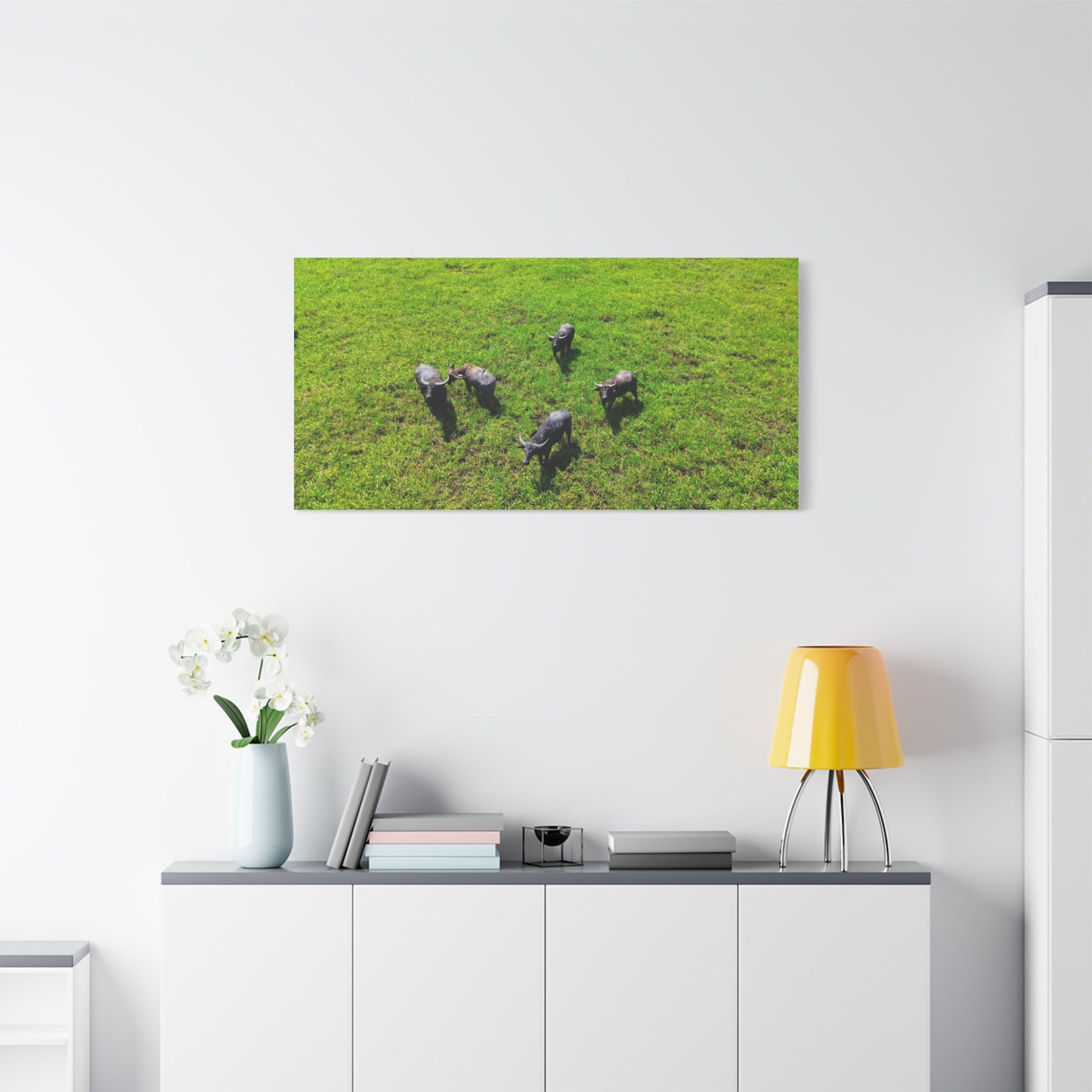 Australia Water Buffalo - Canvas Print