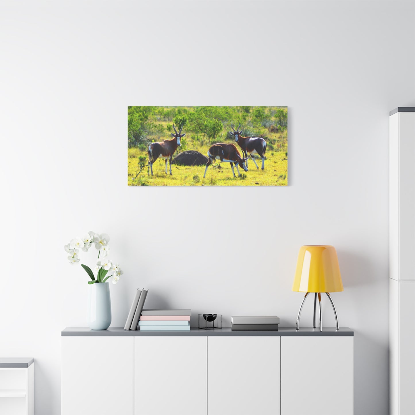 Blesbok in Africa - Canvas Print