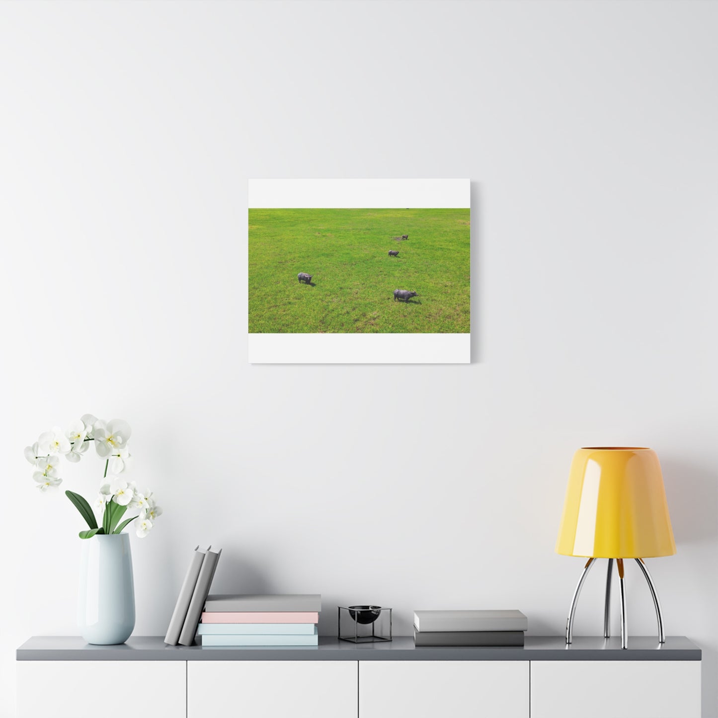 Asiatic Water Buffalo - Canvas Print