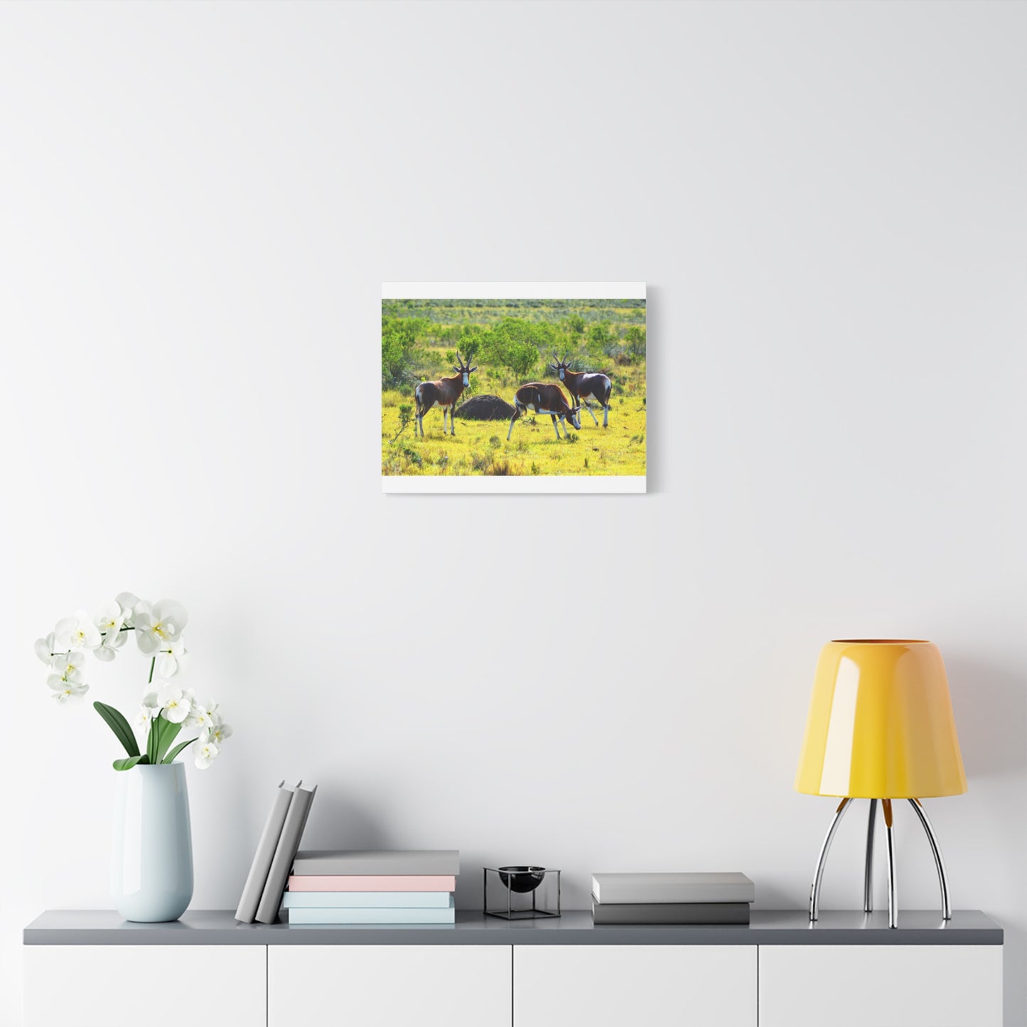 Blesbok in Africa - Canvas Print