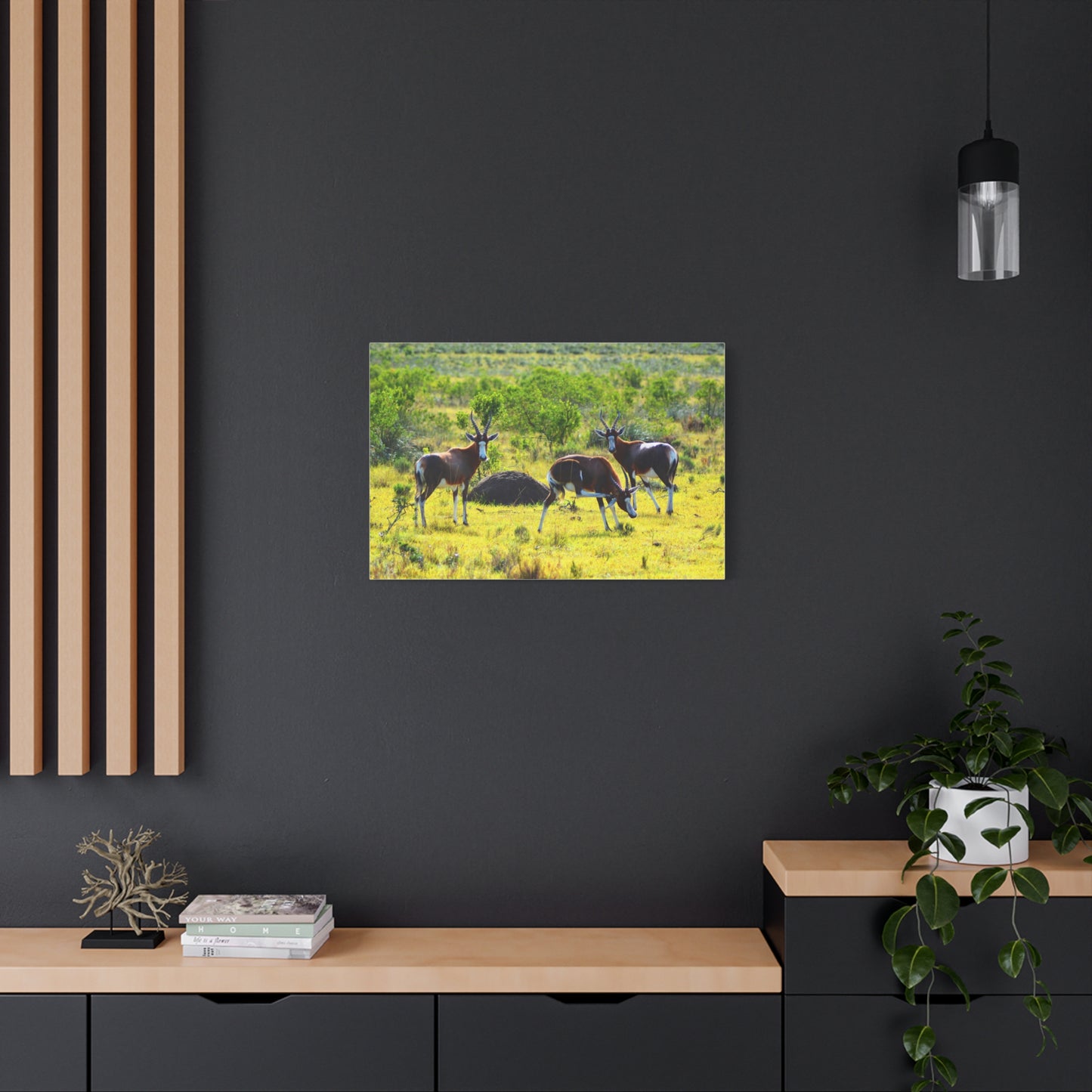 Blesbok in Africa - Canvas Print
