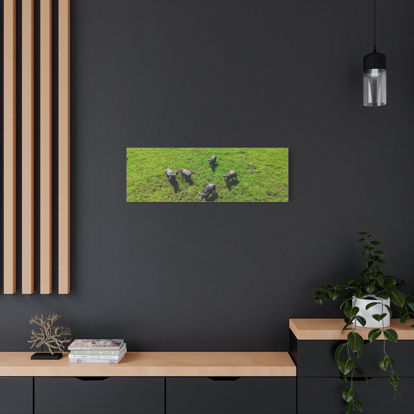 Australia Water Buffalo - Canvas Print