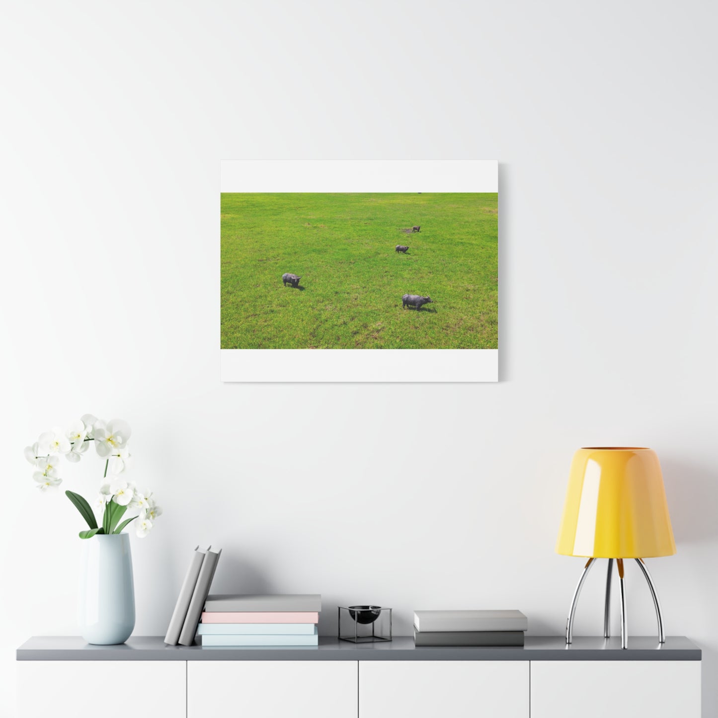 Asiatic Water Buffalo - Canvas Print