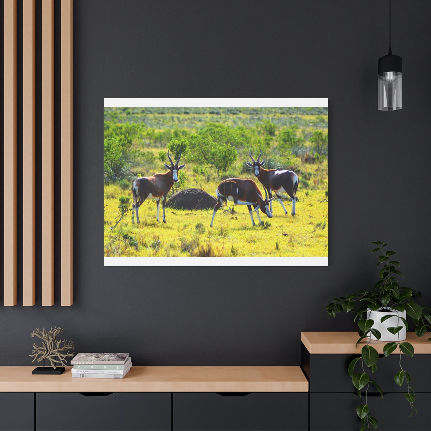 Blesbok in Africa - Canvas Print