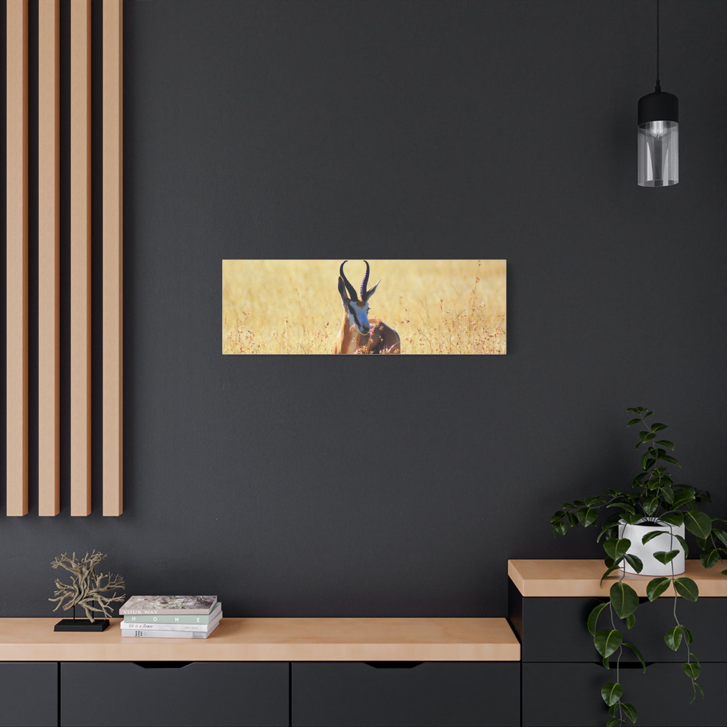 Africa Springbok
